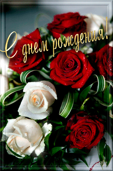 С Днем Рождения открытка с розами~Открытки с Днем Рождения