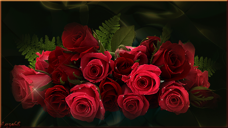 Очень красивые розы фото