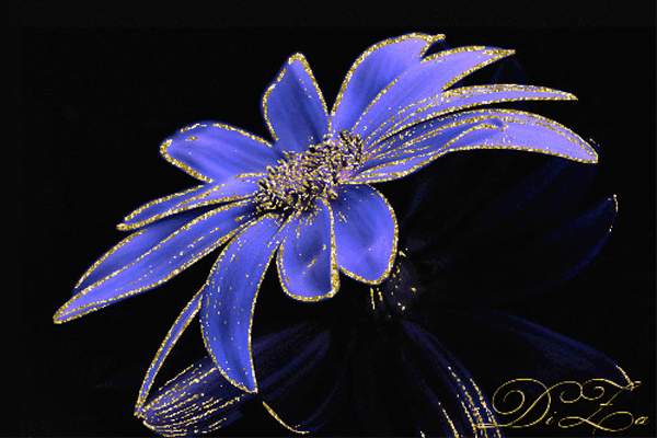 Синий цветок~Цветы анимация