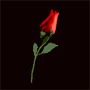 Маленькая роза~Цветы анимация