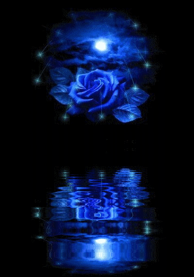 Синяя роза - Цветы анимация