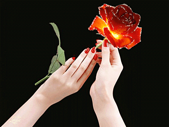 Сияющая роза~Цветы анимация