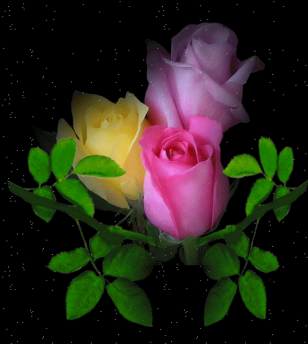 Розы~Цветы анимация