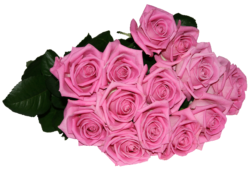 Букет розовых роз~Цветы анимация