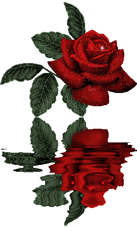 Красная роза - Цветы анимация