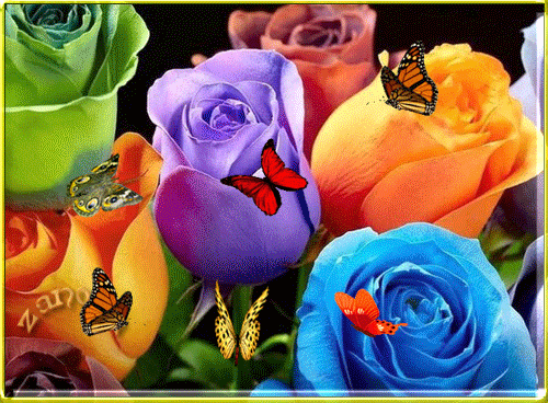 Разноцветные розы - Цветы анимация