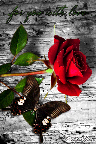 Красная роза с бабочкой~Цветы анимация