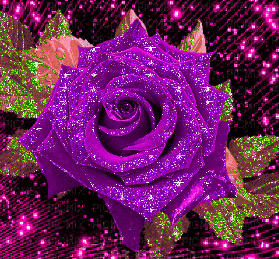 Мерцающая фиолетовая роза~Цветы анимация