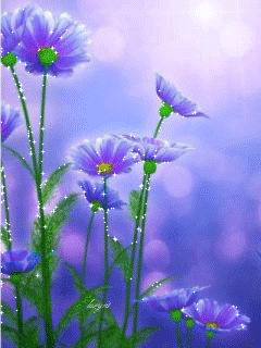 Голубые ромашки~Цветы анимация