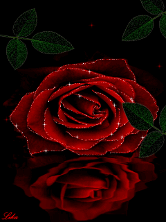 Роза~Цветы анимация
