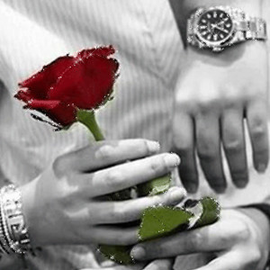 Роза в любимых руках