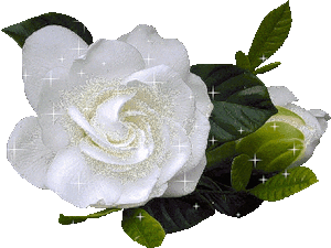 Белый цветок на прозрачном фоне~Открытки для Тебя