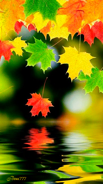 Разноцветная осень~Осень картинки