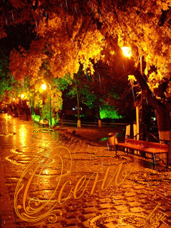 Осенние дожди~Осень картинки
