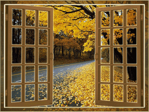 Осень за окном~Осень. Картинки