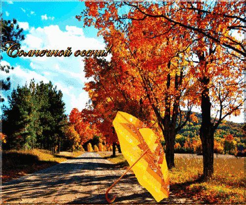 Солнечной осени~Осень картинки