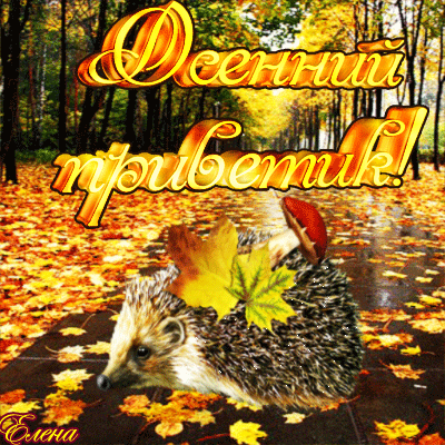 Осенний приветик с ёжиком - Осень картинки, gif, картинки, открытки, анимация