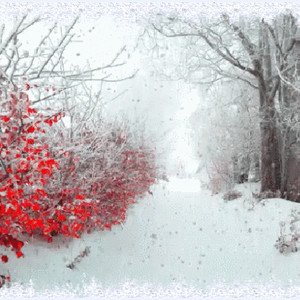 заснеженные кусты и снегопад
