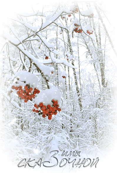 Теплой, снежной и сказочной зимы!