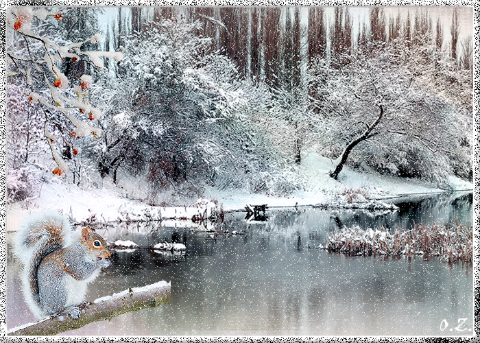 Зимняя природа~Зима картинки