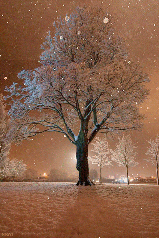 Зимний вечер - Зима картинки