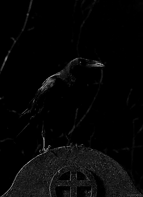 Черный ворон~Живые фотографии