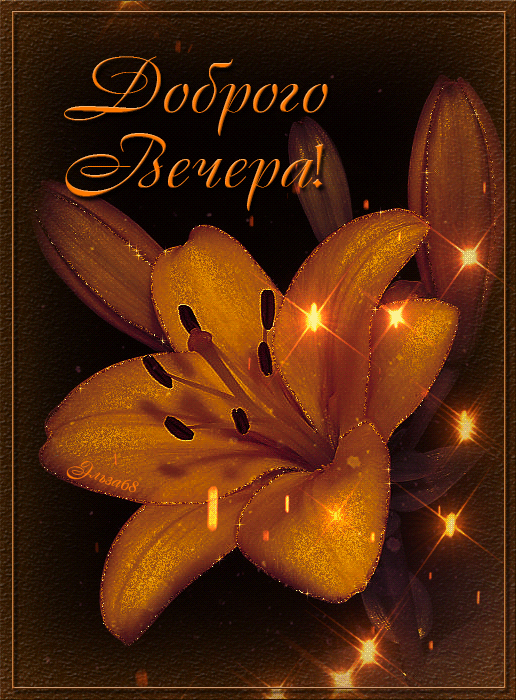 Анимированная открытка с лилией добрый вечер