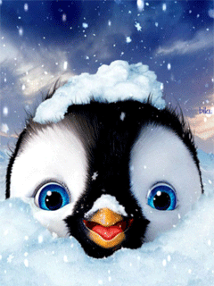 Пингвинёнок~Картинки животных