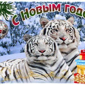 Открытка с Новым годом тигра