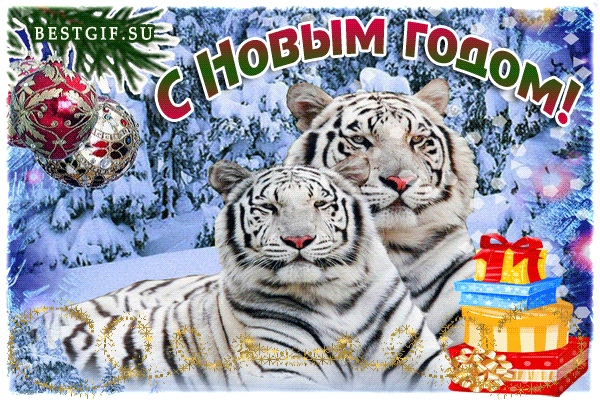 Открытка с Новым годом тигра
