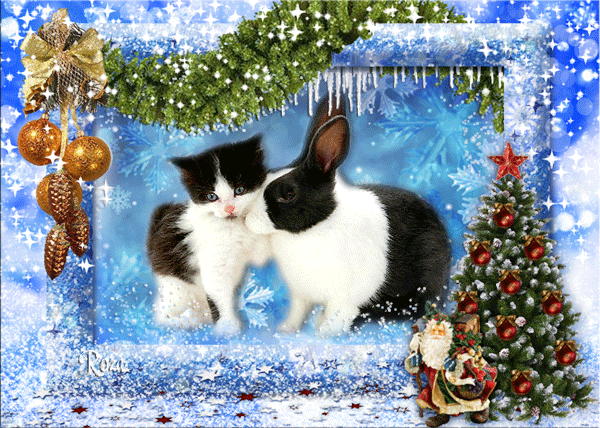 Новогодний кролик и кот - С Новым годом Кролика (кота), gif скачать бесплатно
