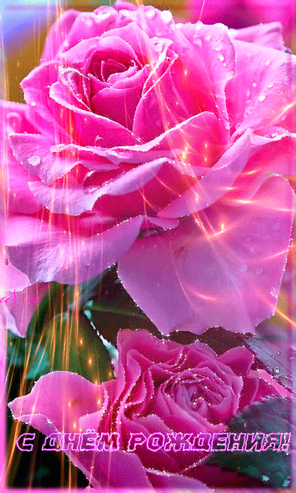Розовая роза на день Рождения