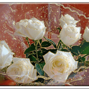 Блестящие, белые розы.