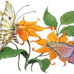 Цветы и бабочки - Цветы анимация