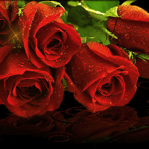 Мерцающие цветы - Розы