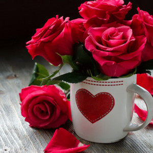 Чашка красных роз