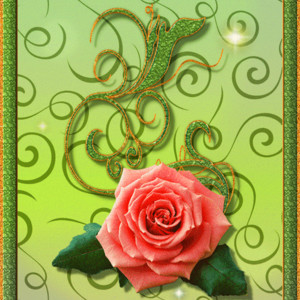 Роза на открытке