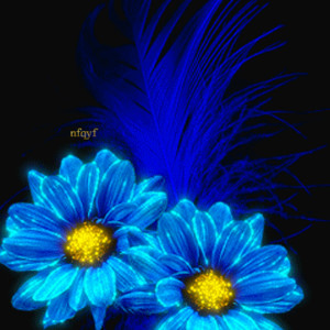 Синие цветы тебе