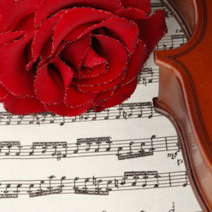 Красная роза и ноты