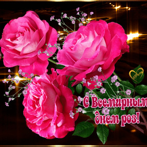 Всемирный день роз - цветы