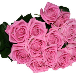 Букет розовых роз - Цветы