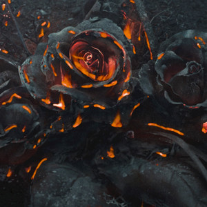 Гифка черная роза в огне