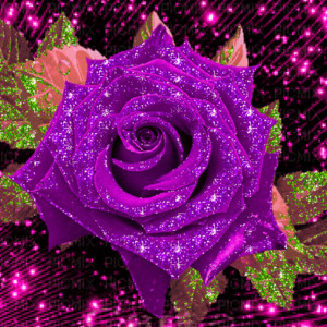 Мерцающая фиолетовая роза