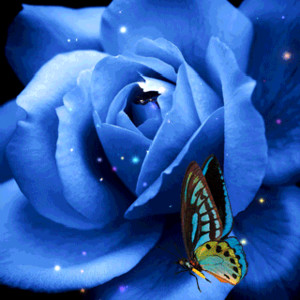 Синяя роза с бабочкой