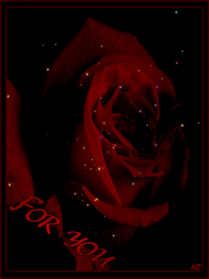 Роза – царица цветов