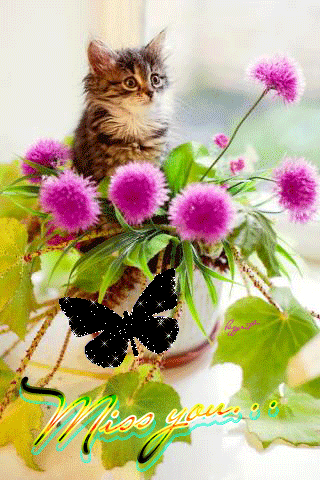 Котенок в цветочном горшке картинки