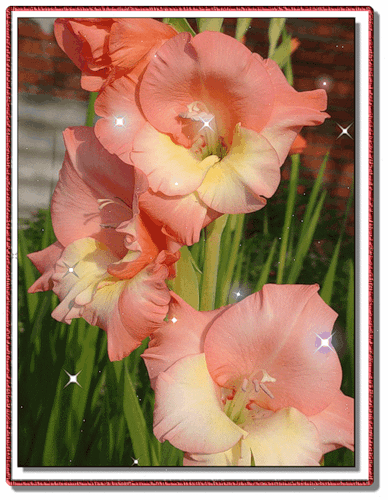 Изображения по запросу Милые открытки цветы