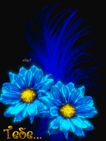 Синие цветы тебе