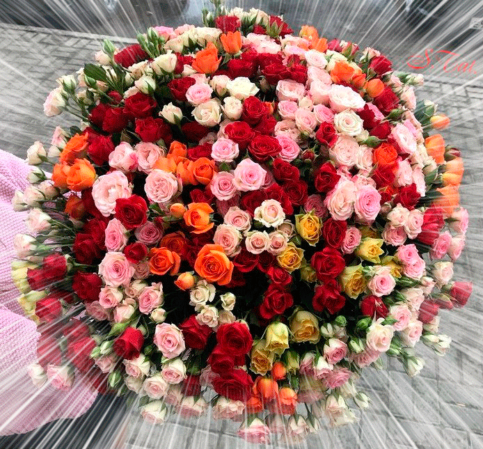 Огромный букет роз - Цветы анимация