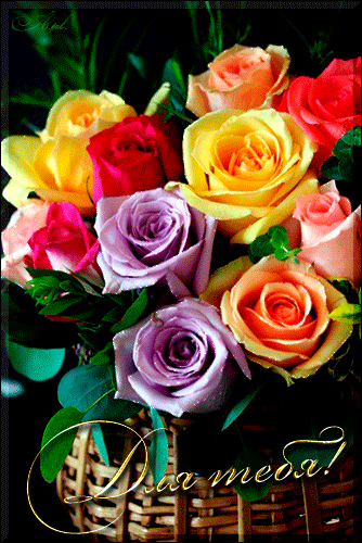 Разноцветные розы для тебя